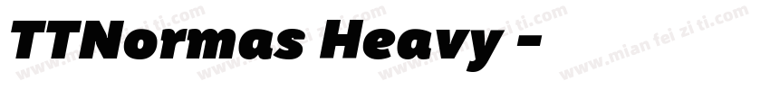 TTNormas Heavy 常规字体转换